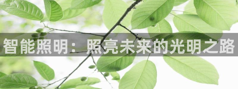 云顶国际集团开发有限公司