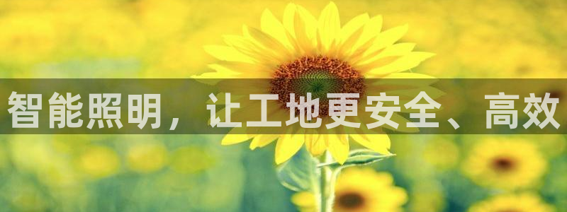 云顶国际装饰设计