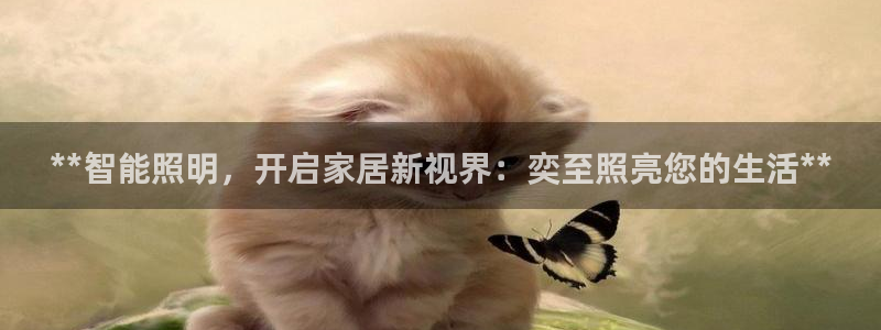 云顶1026