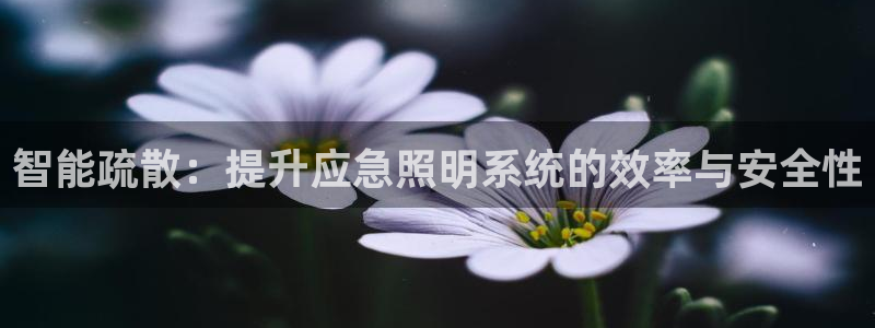 云顶网上官网
