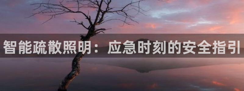 云顶集团最新官方网站入口