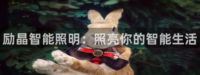 云顶集团王天才简介