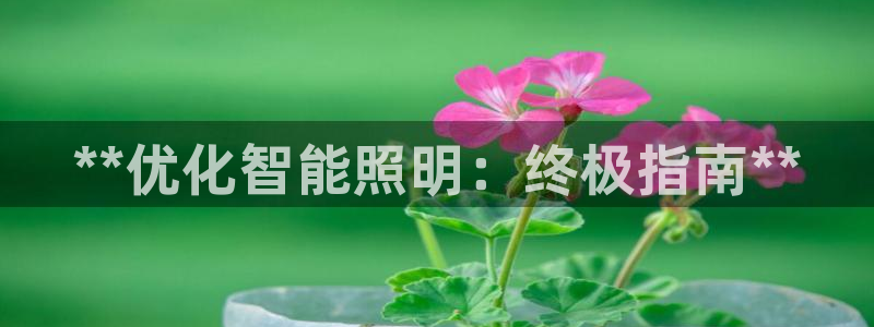 云顶游戏网址