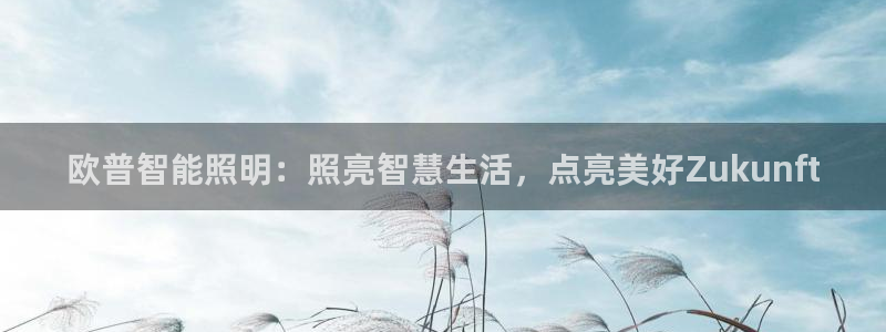 云顶集团中国区执行总裁是谁