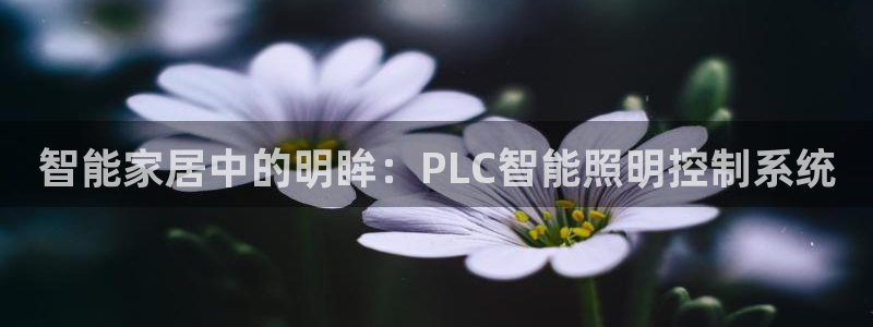 云顶集团网站安全吗知乎