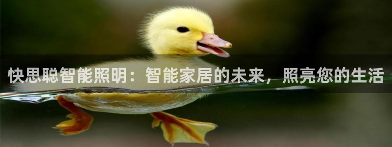 云顶国际在哪