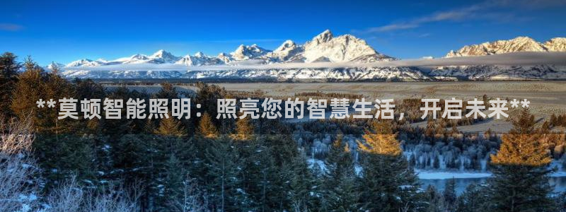 云顶国际app手机版下载安装