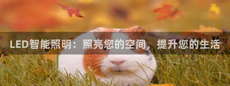 云顶手游国际服什么时候更新4.5