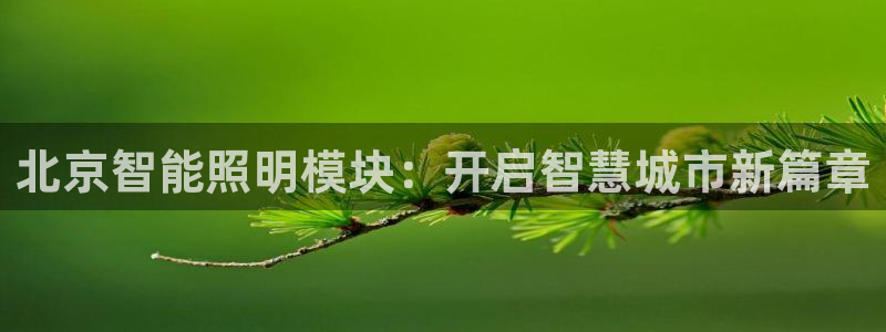 云顶国际休闲会所