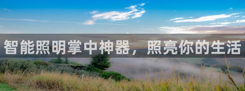 云顶国际高中