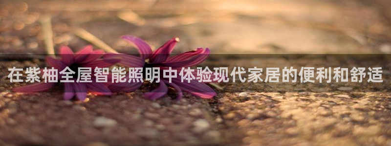 登录云顶集团的网站