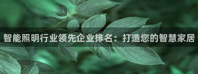 云顶国际公馆多少层楼