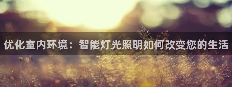 云顶国际旅行社怎么样