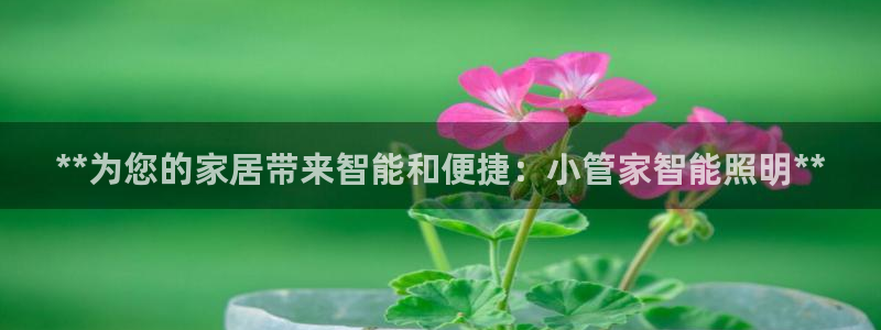 云顶国际在线登录不上