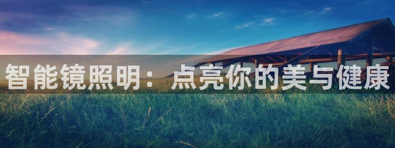 云顶国际服是哪个服