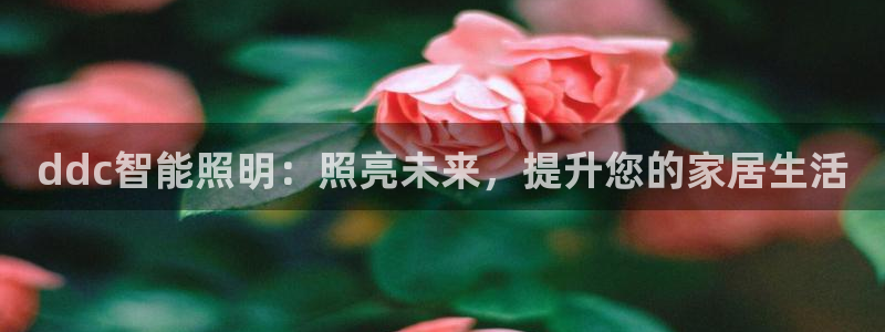 云顶国际物流官网