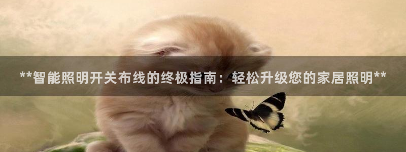 云顶国际在线登录官网