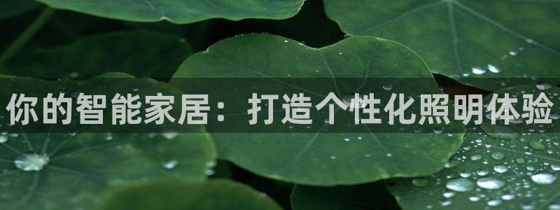 云顶国际装饰设计 宁波