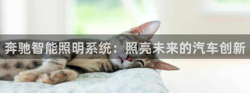 云顶国际部