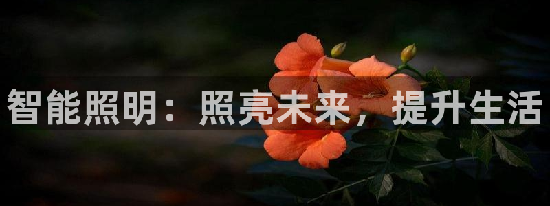 云顶的网址是多少