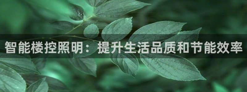 云顶国际广场附近银行