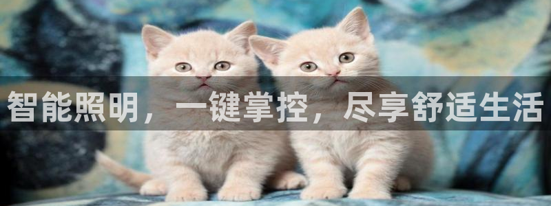 云顶集团app安卓版下载安装