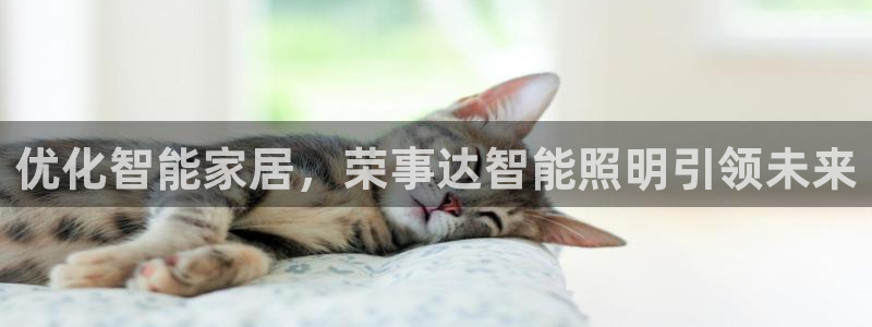云顶国际平台游戏官网