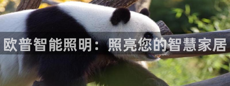 云顶国际app免费下载安装