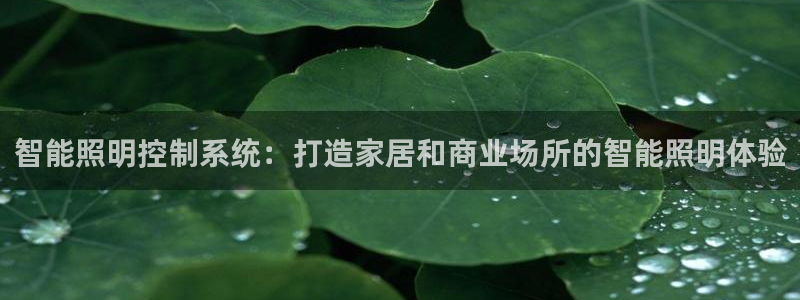 云顶集团简介和历史