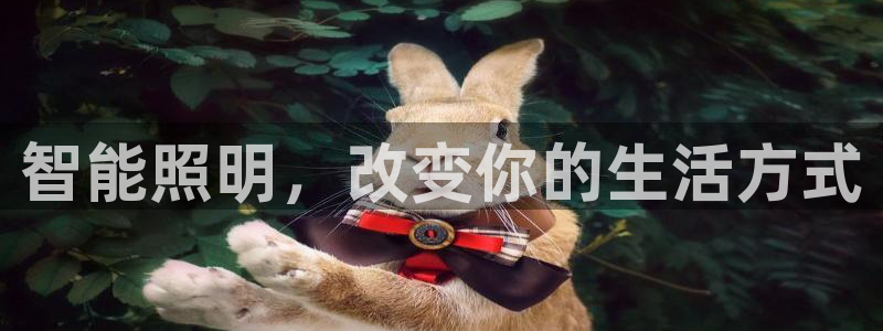 云顶集团在哪上市