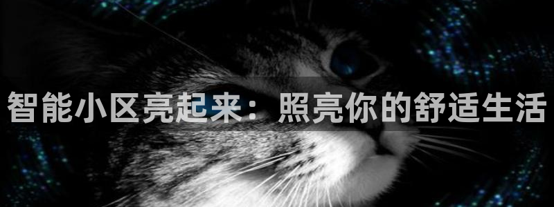 yd云顶集团app下载