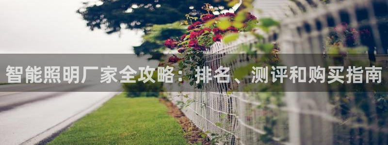 云顶国际测试服免费领取