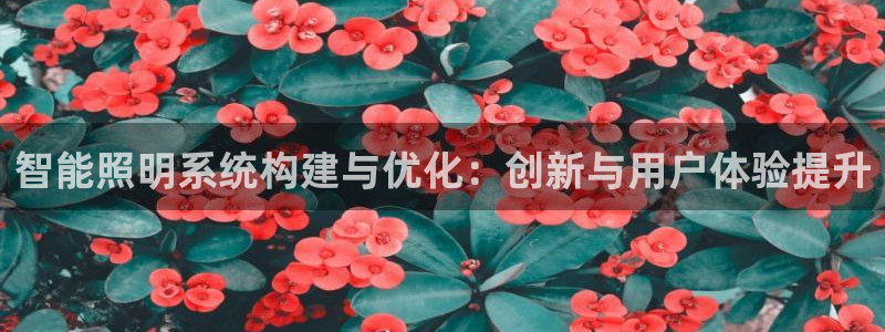 云顶国际网页版官网：智能照明系统构建与优