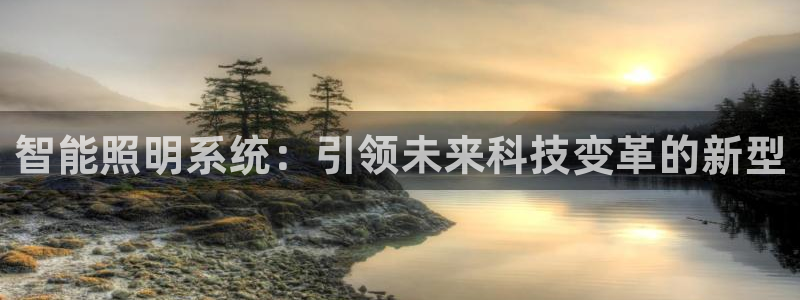 云顶国际高中学费多少钱：智能照明系统：引