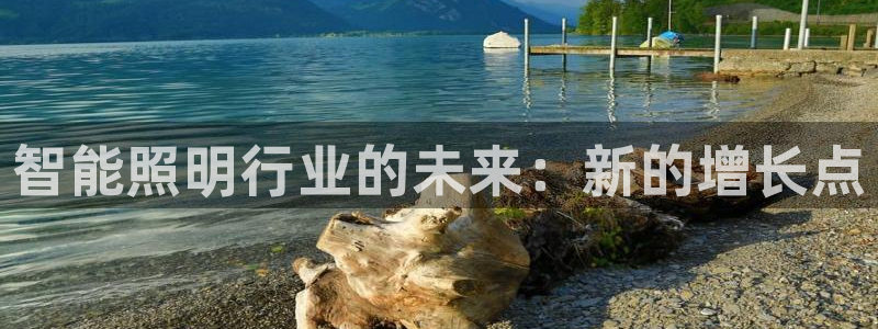云顶国际区块链怎么样啊