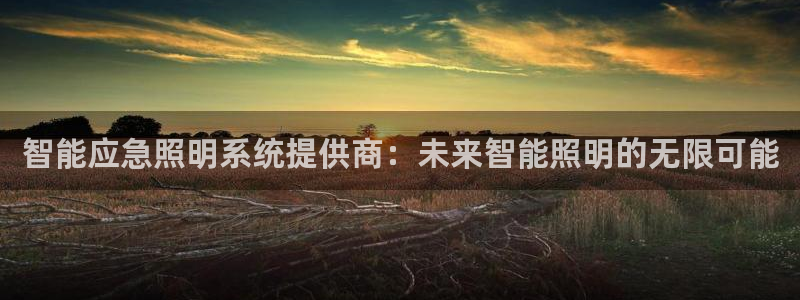 云顶国际体育官方网站入口