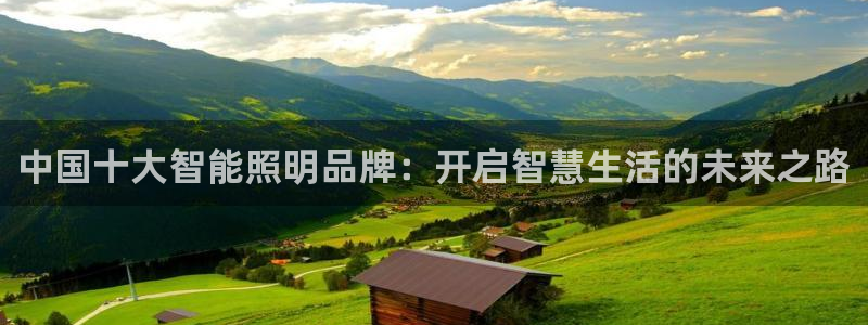 云顶国际酒店位置图：中国十大智能照明品牌