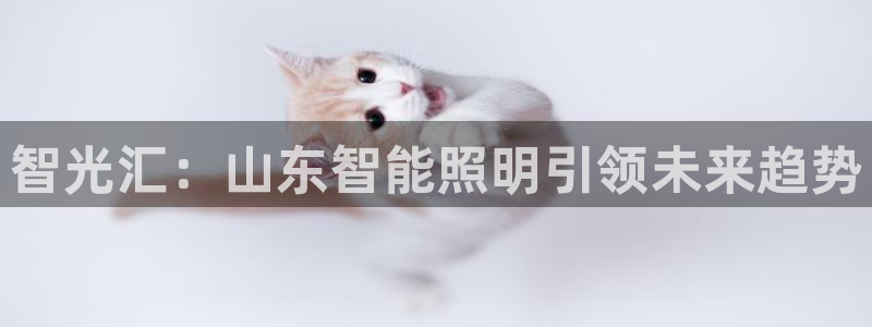 yd2333云顶电子游戏