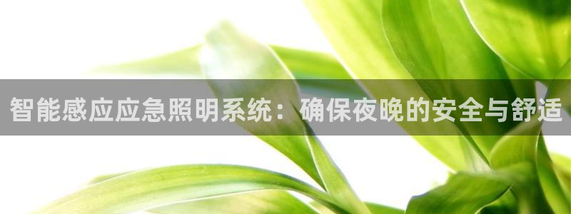 云顶线上赌博