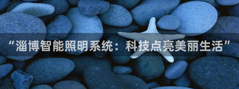 云顶集团注册送28官方网站：“淄博智能照
