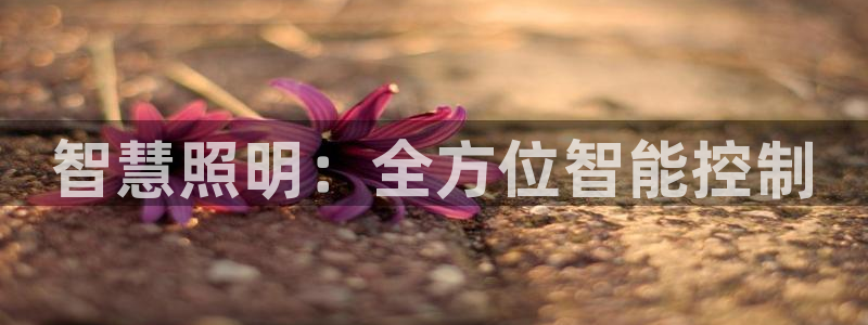 云顶国际高中d s e班学费多少