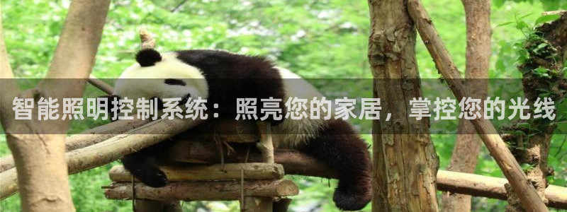 云顶国际--行业领导品牌