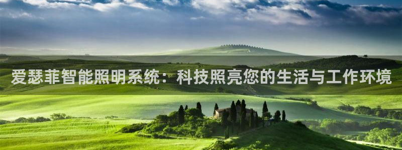 官方云顶国际网站下载